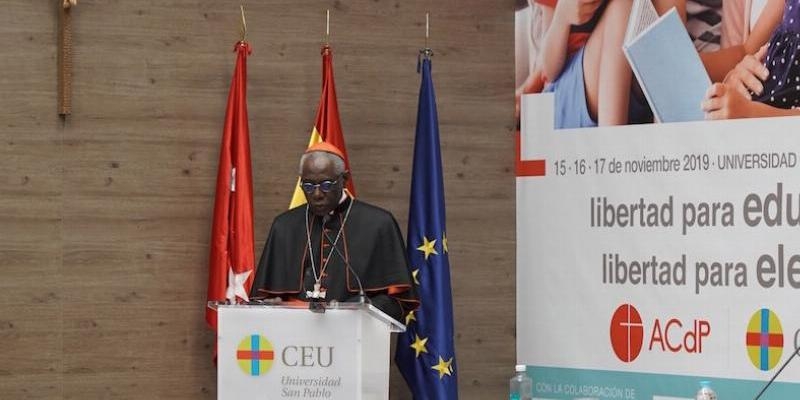 Cardenal Robert Sarah: «La educación está en el corazón de la misión de la Iglesia»