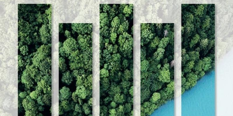 El cardenal José Cobo preside una Eucaristía en el Día de la UMOFC