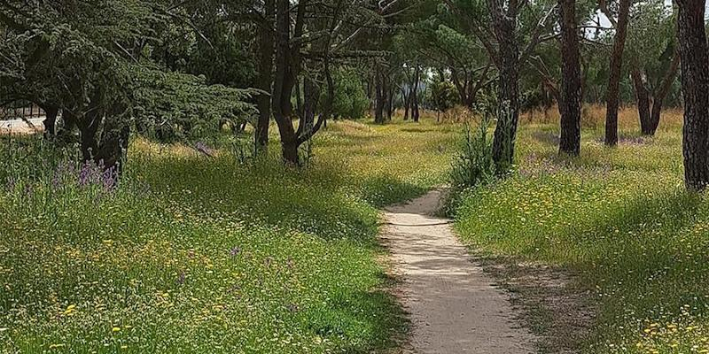 Asunción de Nuestra Señora de Torrelodones acoge la presentación de 'Tú, sígueme. Caminar con el Evangelio'