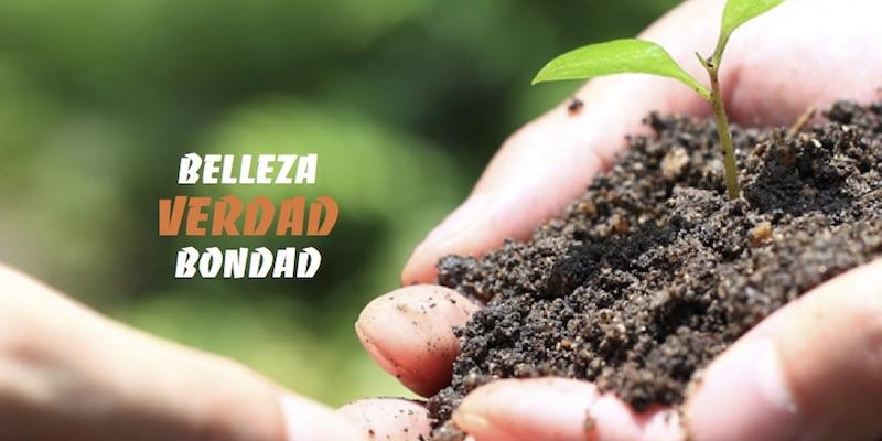 El VI Encuentro de Músicos Católicos Contemporáneos se celebra de manera virtual