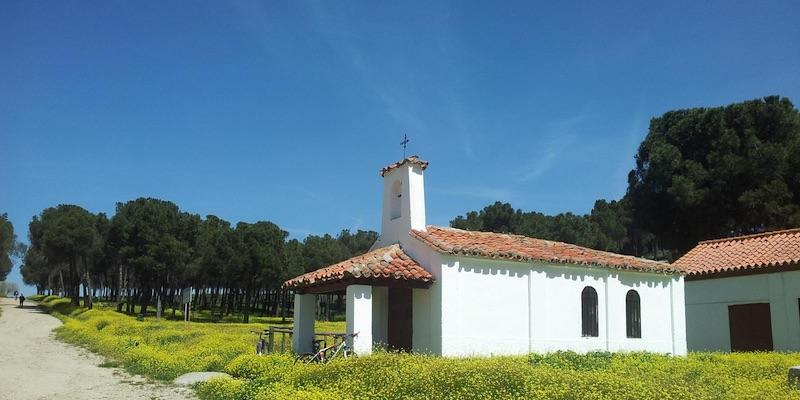 Alcobendas honra a san Isidro Labrador con una romería con Eucaristía y bendición de los campos