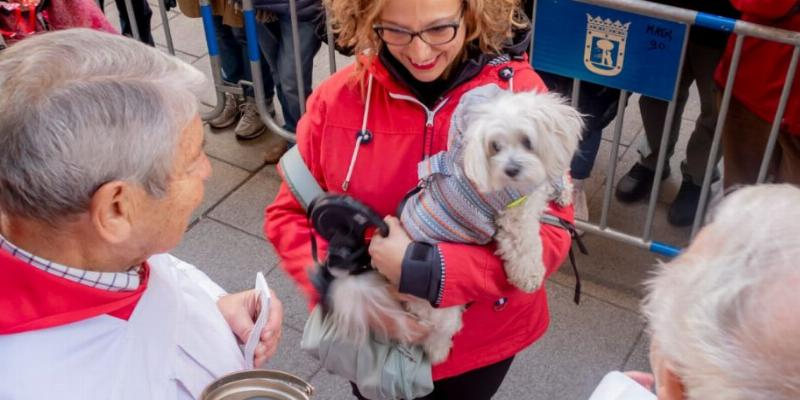 San Antón celebra la fiesta del patrón de los animales con la tradicional venta de panecillos y bendición de mascotas