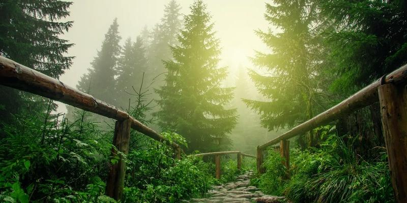 Madrid se prepara para 24 horas de alabanza al Señor en San Pedro Mártir de Alcobendas