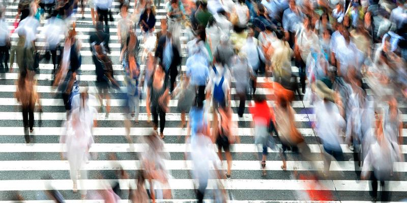 Arrancan los trabajos de la Red Fratelli, nacida para despertar la vocación política en los jóvenes