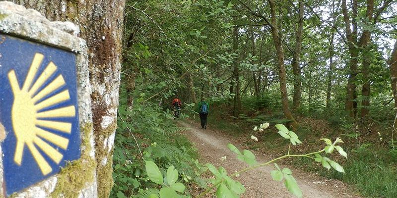 San Andrés Apóstol de Villaverde peregrina en agosto a Santiago con familias y adultos