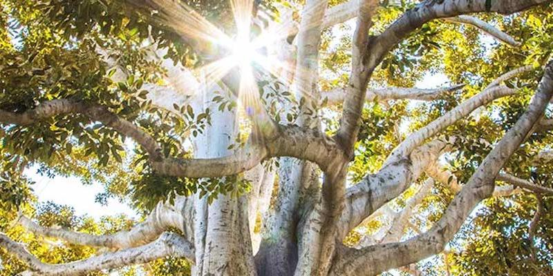 El cardenal Omella presenta en la Fundación Pablo VI la Memoria anual de actividades de la Iglesia católica en España