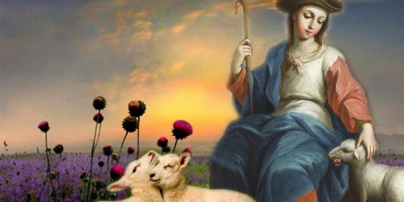 El vicario episcopal de la VIII visita varias comunidades de las Franciscanas Misioneras de la Madre del Divino Pastor