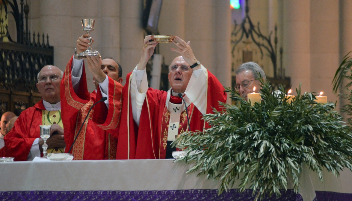 «Entrad, como Cuerpo de Cristo, en este mundo lleno de heridas, rupturas y enfrentamientos»