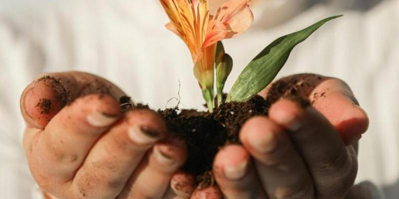 Cáritas Madrid se une al Tiempo de la Creación con talleres que promueven el cuidado de la naturaleza o la reducción de recursos