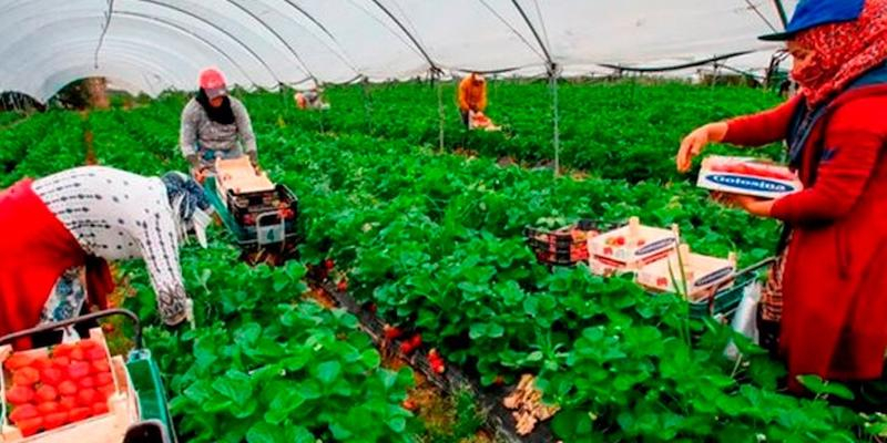 III Seminario Antonio Algora, 'La Pastoral del Trabajo en el acompañamiento a las personas migrantes'