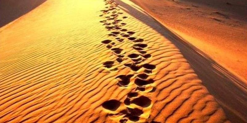 El padre Elías Royón dirige el retiro de Cuaresma de la CONFER diocesana de Madrid