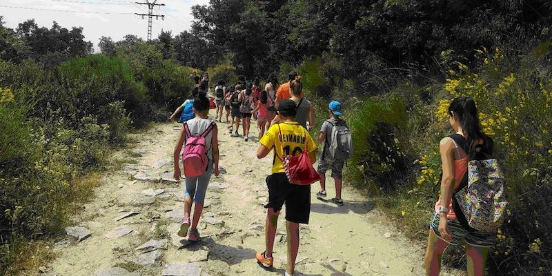 Crece en un 15% la participación de los menores en las colonias y campamentos de verano de Cáritas Diocesana de Madrid