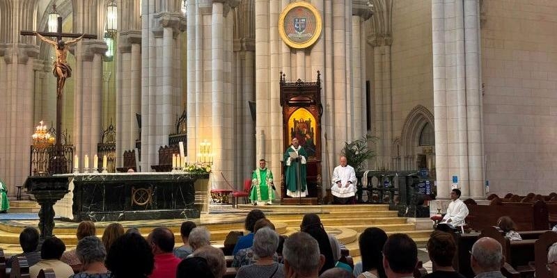 Cardenal José Cobo: «La Iglesia siempre nace de la compasión compartida»