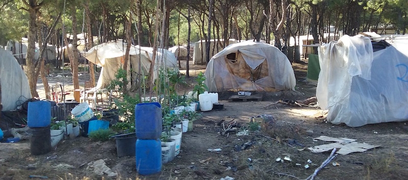 La Universidad de Huelva y Cáritas Diocesana presentan un informe sobre salud en los asentamientos