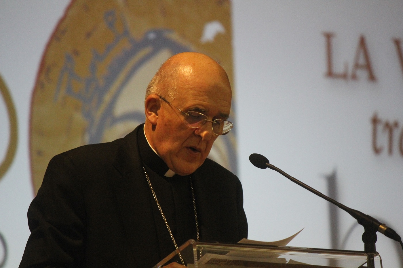 «La vida consagrada es un elemento decisivo en la misión de la Iglesia»