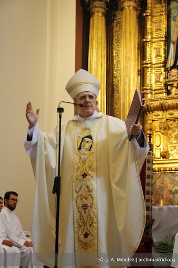 El cardenal se reúne con el Consejo de Juventud de la CEE