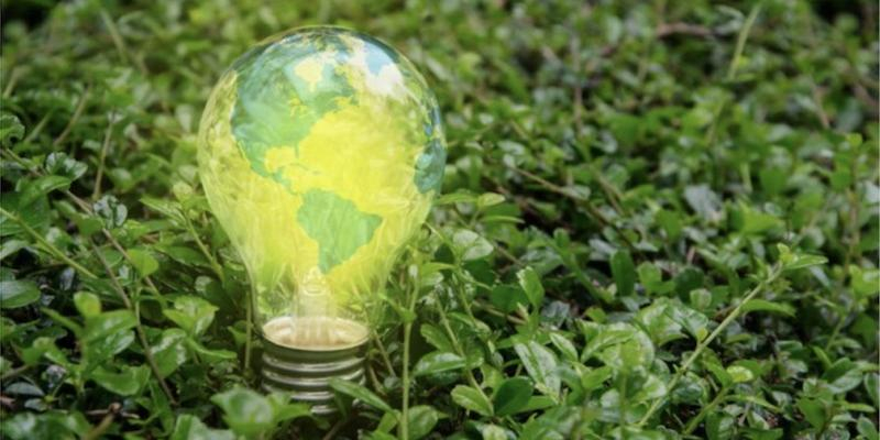 Misiones Salesianas prepara un material educativo para acompañar a niños y jóvenes en el cuidado de la casa común