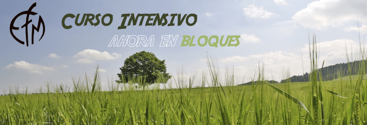 Arranca el XXVI Curso Intensivo de formación misionera