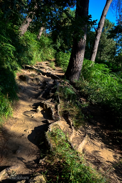 Salida del grupo ‘Al monte’ de la Casa de Acogida