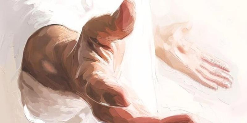 El cardenal José Cobo preside en la catedral la Eucaristía de ordenación de trece nuevos diáconos