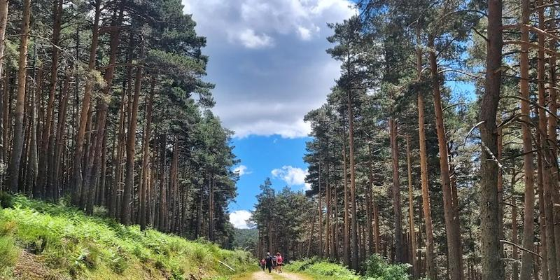 Cristo Sacerdote aplaza por causas meteorológicas su primera salida de este curso conocida como 'Cristo montañote'