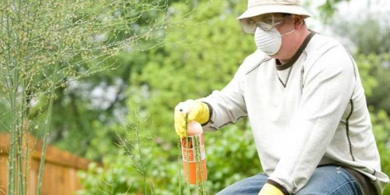 La Conferencia Episcopal Española organiza un 'webinar' sobre la seguridad en el trabajo