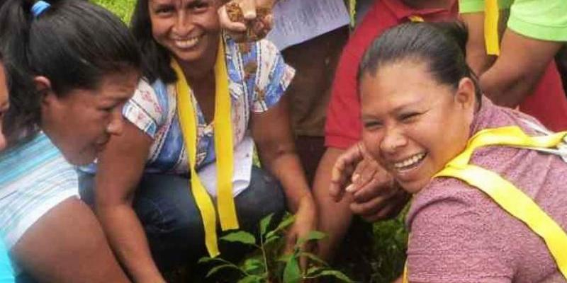 El 5 de abril comienza la I edición del Programa de Animadores Laudato Si' 2021