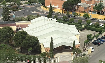 San Alberto Magno honra a su titular