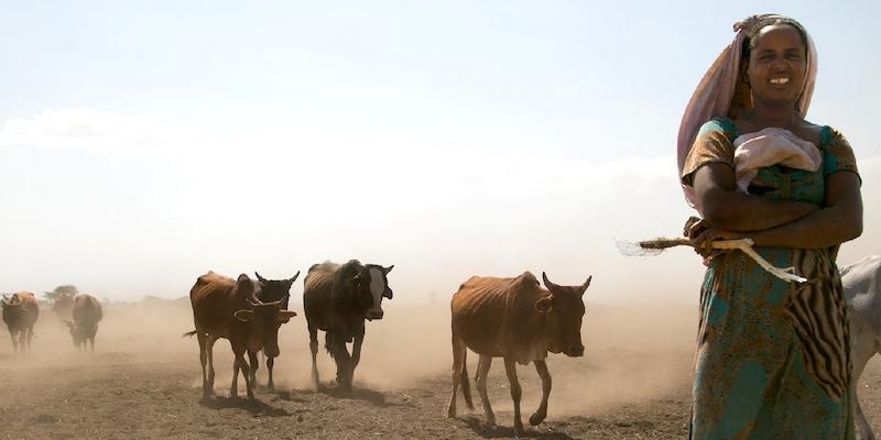 Cáritas publica «Ampliar la Mirada», un documento que recoge su visión sobre el cuidado de la Creación