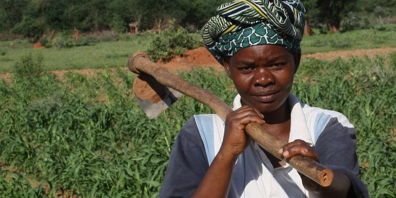 'Enlázate por la Justicia' alerta del impacto de una economía que no pone a las personas y al planeta en el centro