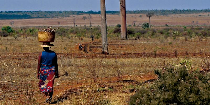 El cardenal Cobo invita a colaborar con Manos Unidas «para seguir paliando el hambre material y espiritual de la humanidad»
