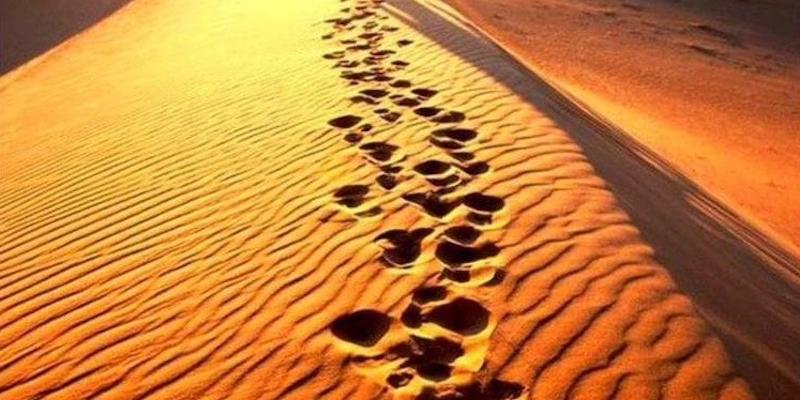 David Cabrera dirige en junio una tanda de ejercicios espirituales para sacerdotes