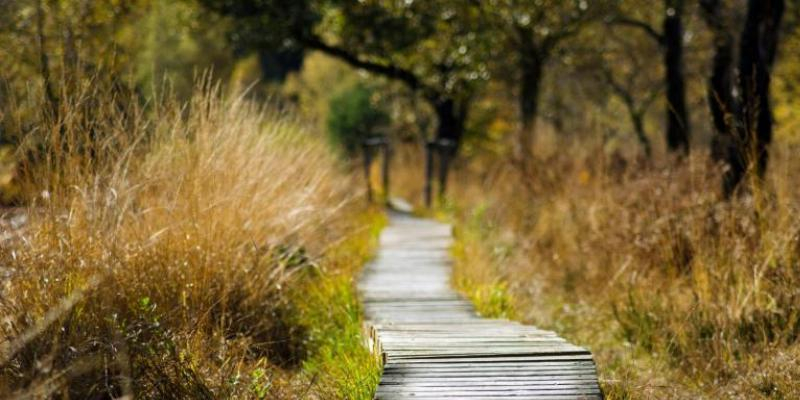 Cáritas Madrid publica la revista Compromiso Solidario donde recogen las realidades sociales con las que coexisten en Madrid