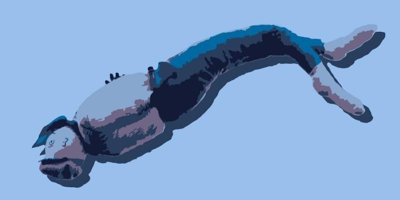 Nuestra Señora de la Estrella de Navalagamella recupera la tradición del manteo del pelele en el Miércoles de Ceniza