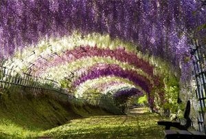 Tandas de ejercicios espirituales para jóvenes