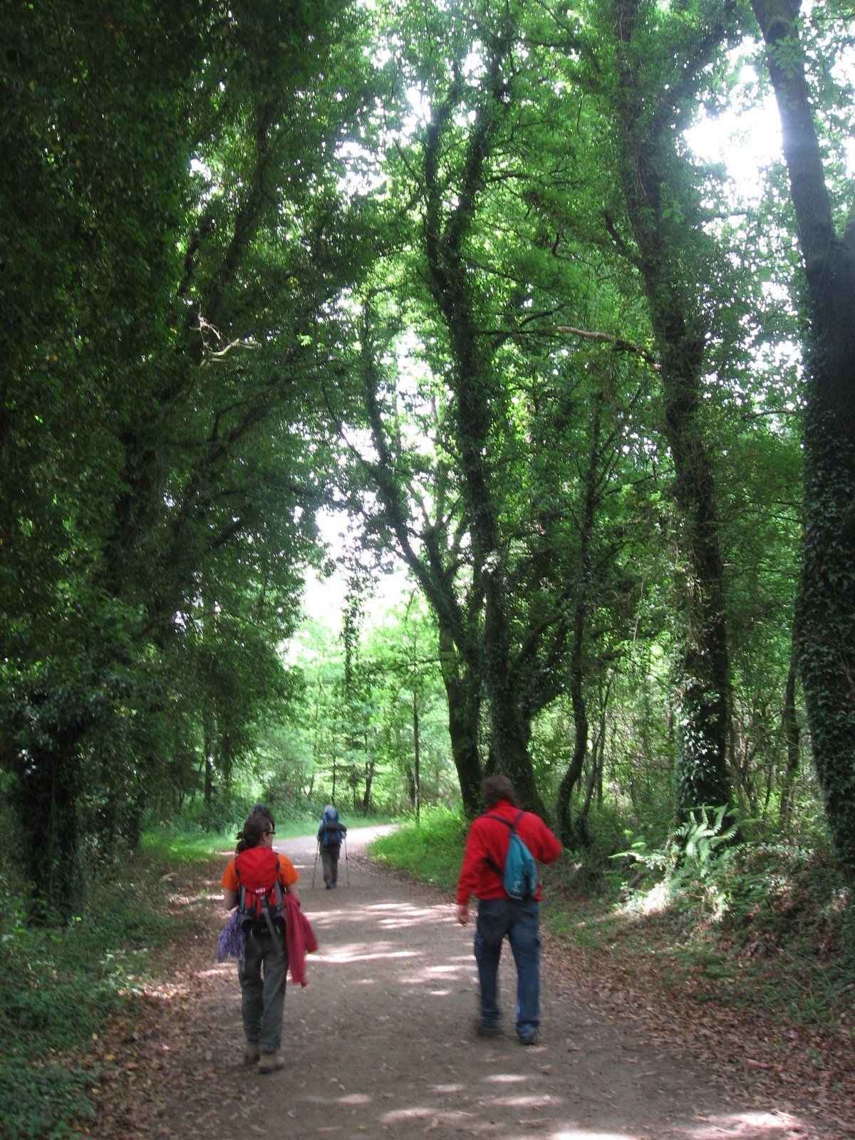 Nueva salida del grupo 'Al-monte' de la casa de acogida de Cáritas Madrid