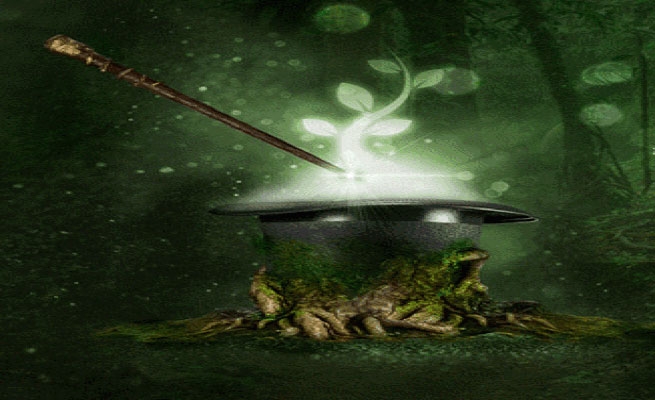 Asfixia, el Espectáculo de Magia de Selvas Amazónicas