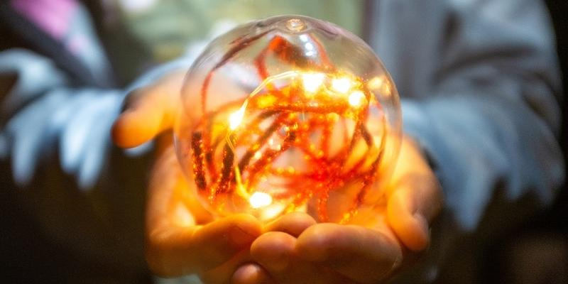 Proyectos y servicios de Cáritas Diocesana de Madrid celebran encuentros con voluntarios con motivo de la Navidad