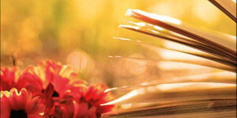 Monseñor Santiago Agrelo comenta el Evangelio 2022 editado por San Pablo