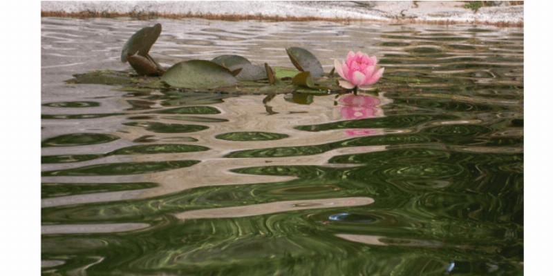 Recital de poesía y piano en el convento San Antonio de La Cabrera