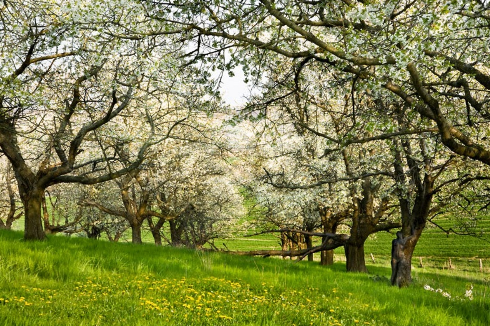 El XVIII Curso de Antropología Filosófica se centra en el tema de la mujer