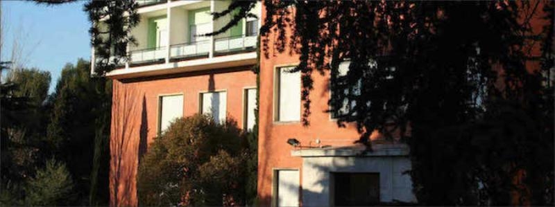 La Fundación Pablo VI diseña un programa de liderazgo para líderes emergentes de Iberoamérica