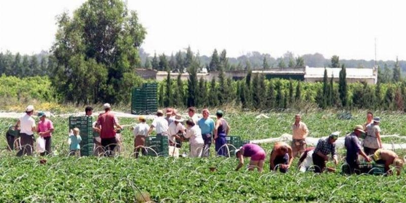 Cáritas analiza en Huelva los retos sociales que plantean el temporerismo y los asentamientos