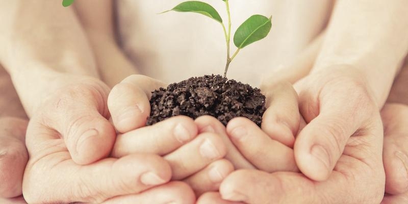 La Conferencia Episcopal hace públicos los materiales de la Jornada por la Vida 2020