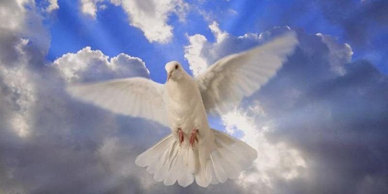 Nuestra Señora del Carmen de Pozuelo organiza un Seminario de Vida en el Espíritu