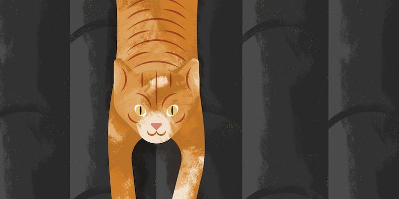 San Antón honra a su titular con la tradicional venta de panecillos y bendición de animales