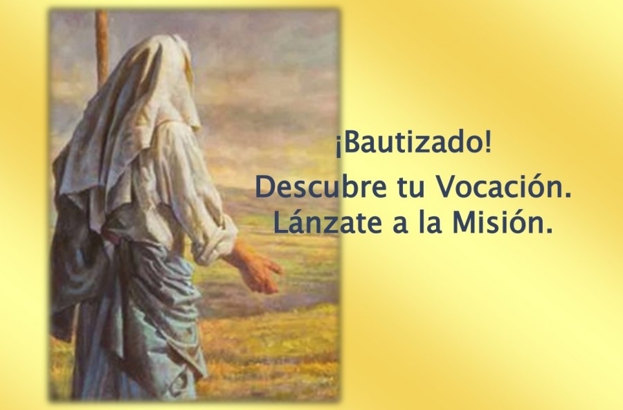 Fiesta del Apostolado Seglar: movimientos y asociaciones presentarán su carisma junto a la catedral antes de la vigilia de Pentecostés