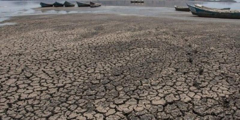 HOAC se adhiere a las movilizaciones por la justicia climática