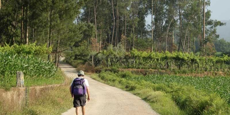 Jóvenes de Santiago y San Juan Bautista inauguran julio recorriendo el Camino de Santiago