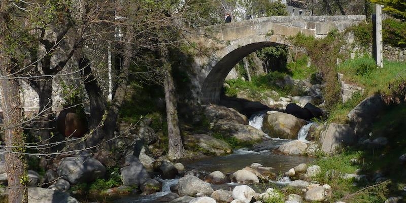 Nuestra Señora de la Visitación de Las Rozas organiza un campamento de verano en Piedralaves